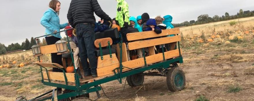 New Sweden Farms Idaho Falls Corn Maze and Pumpkin Patch