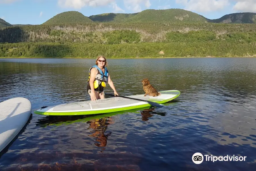 CB West Paddle Boards