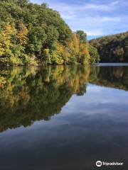 Cheat Lake Trail