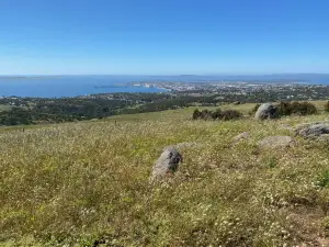 Winter Hill Lookout