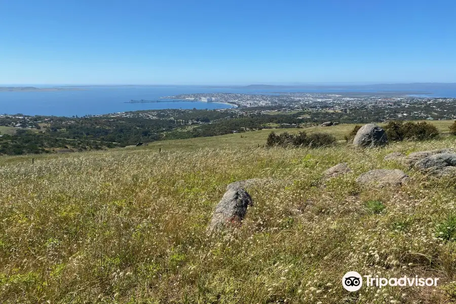 Winter Hill Lookout