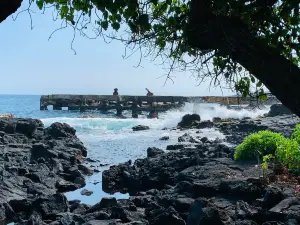 Whittington Beach Park