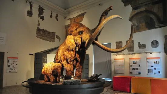 Civic Museum of Natural Sciences in Bergamo