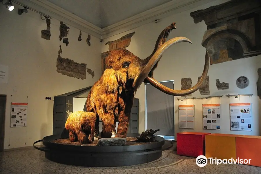 Civic Museum of Natural Sciences in Bergamo