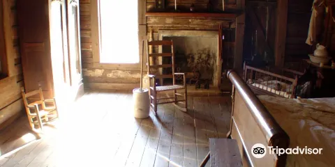 Forest Capital Musem