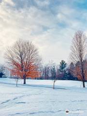 Mendon Ponds Park