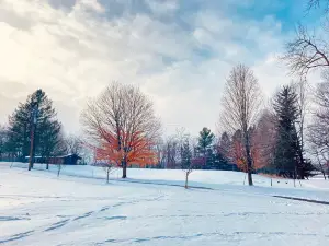 Mendon Ponds Park