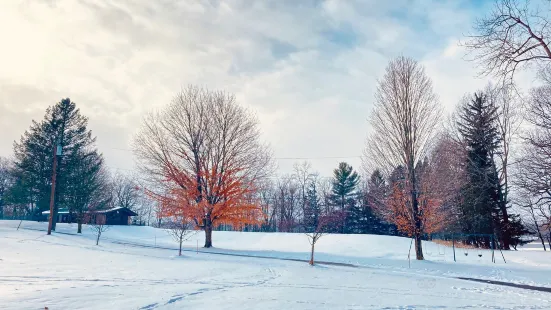 Mendon Ponds Park