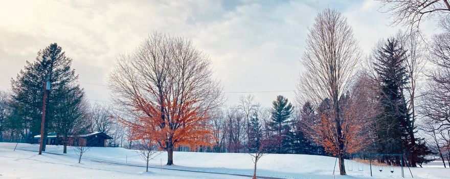 Mendon Ponds Park