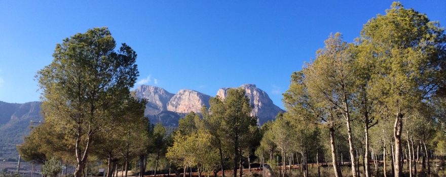 Forestal Park Benidorm La Nucía