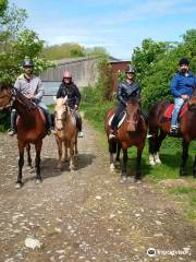 Snowdonia Riding Stables