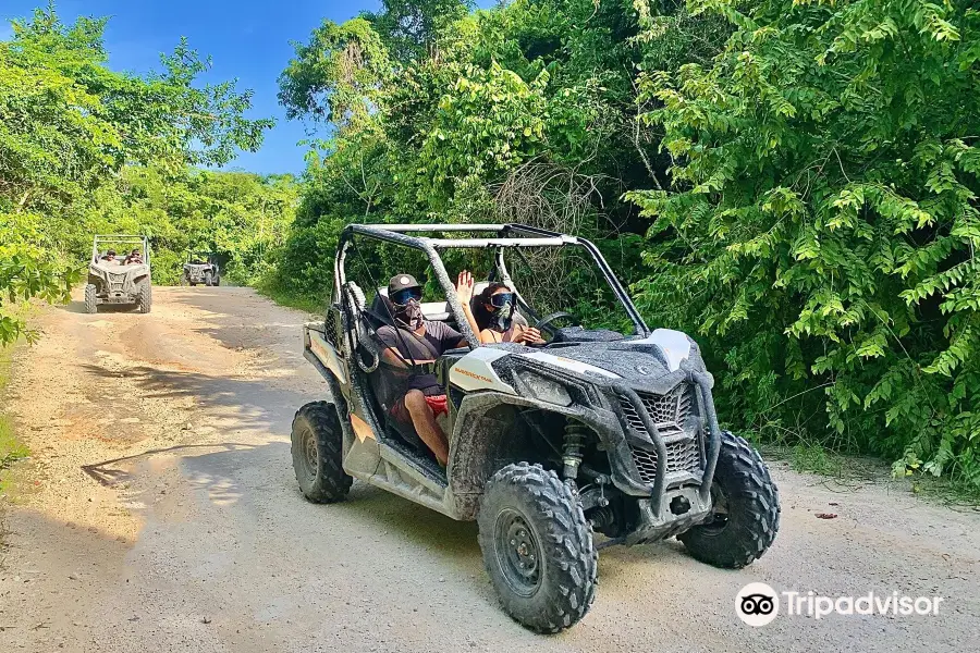 Buggy Tour Playa del Carmen