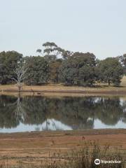 Tullaroop Reservoir