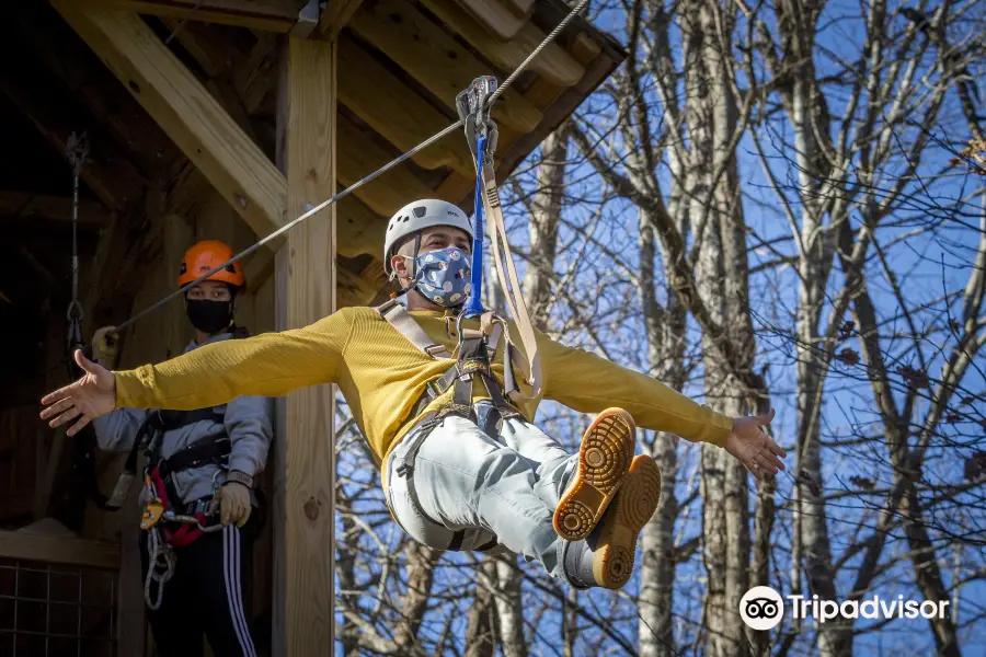 High Gravity Adventures Zip Line & Aerial Park