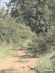 Borakalalo National Park