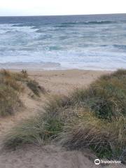 Wonthaggi Heathland and Coastal Reserve