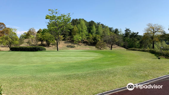 Green Birds Golf Club