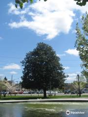 Fountain City Park