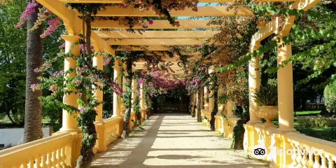 唐·佩德羅王子城市公園