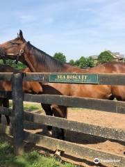 Old Friends at Dream Chase Farm