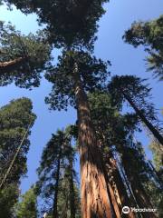 Redwood Canyon Trailhead