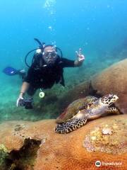 Dive In Pattaya