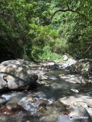 Taitung Yanping Butterfly Valley