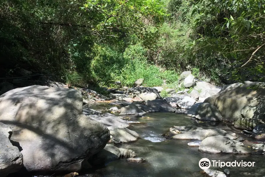 Taitung Yanping Butterfly Valley