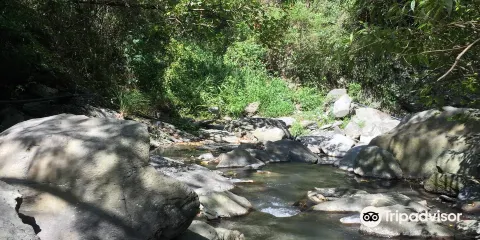 台東延平鄉蝴蝶谷