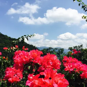 硬漢嶺