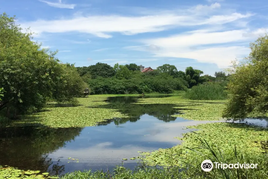 Niaosong Wetland Park