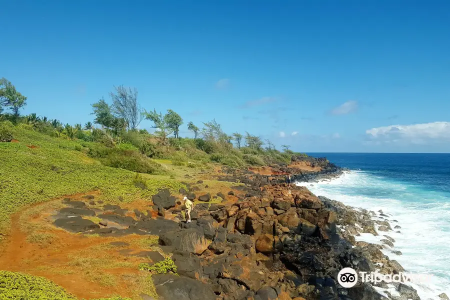 Kauai Path