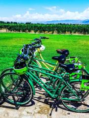 Vistalba Bikes