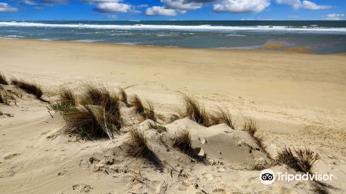 Plage de la Coubre