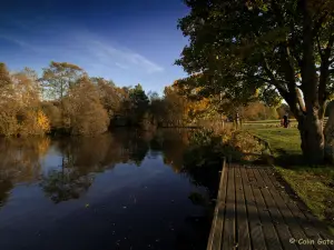 Peatlands Park