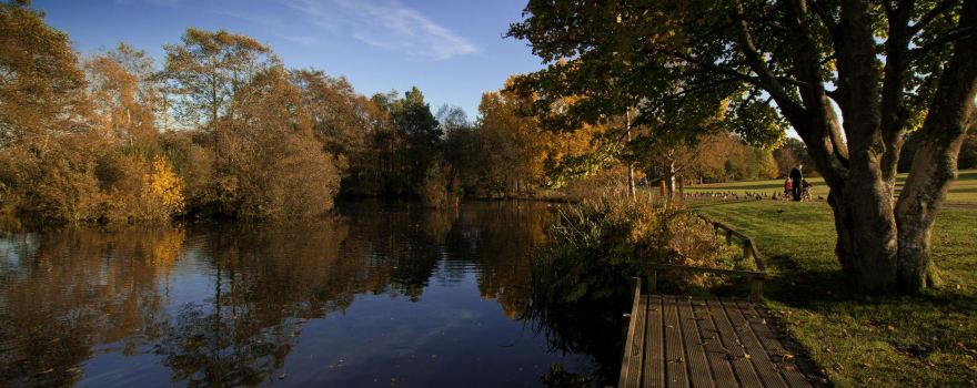 Peatlands Park