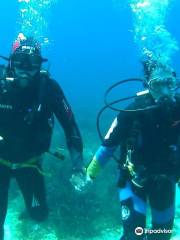 Utina Diving College Limited