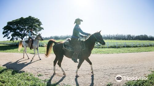 Farm Chokchai (ท่องเที่ยวฟาร์มโชคชัย)