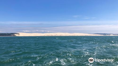 Arcachon Bay