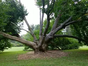 Trexler Memorial Park