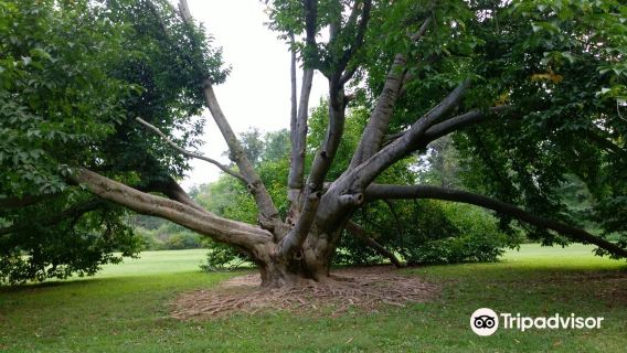 Trexler Memorial Park