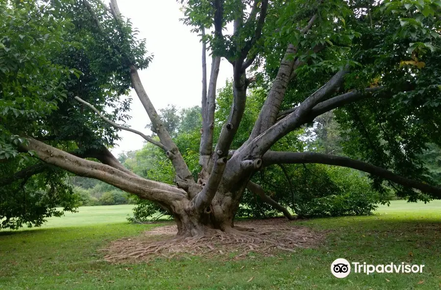 Trexler Memorial Park