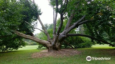 Trexler Memorial Park