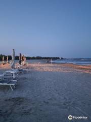 Spiaggia delle conchiglie