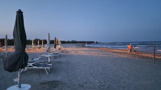 Spiaggia delle conchiglie