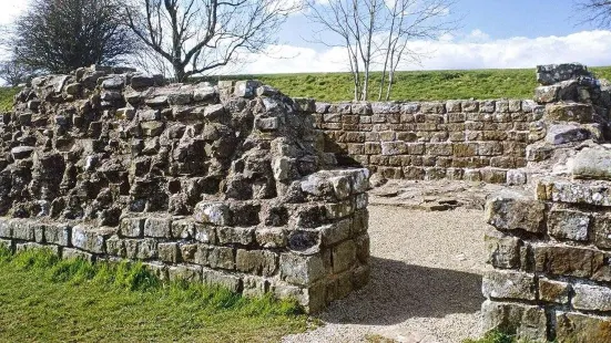 Banks East Turret - Hadrian's Wall