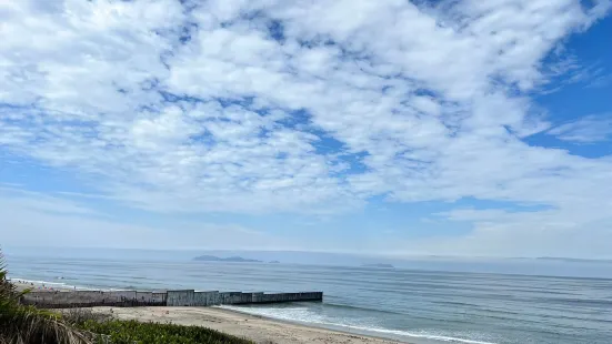 Border Field State Park