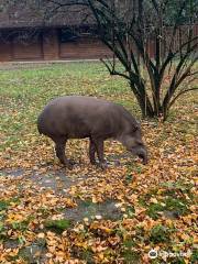 カリーニングラード動物園