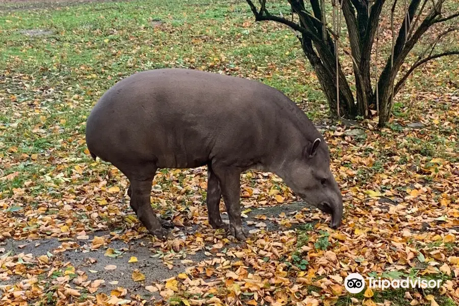 Калининградский зоопарк