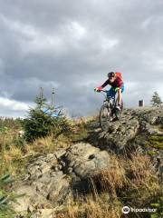 Davagh Forest Trails - MTB Trailhead